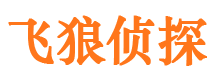 民乐市调查公司